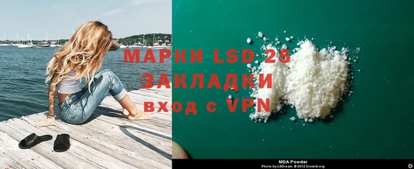 стафф Арсеньев