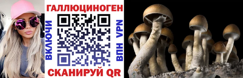 наркошоп  Осинники  Псилоцибиновые грибы ЛСД 